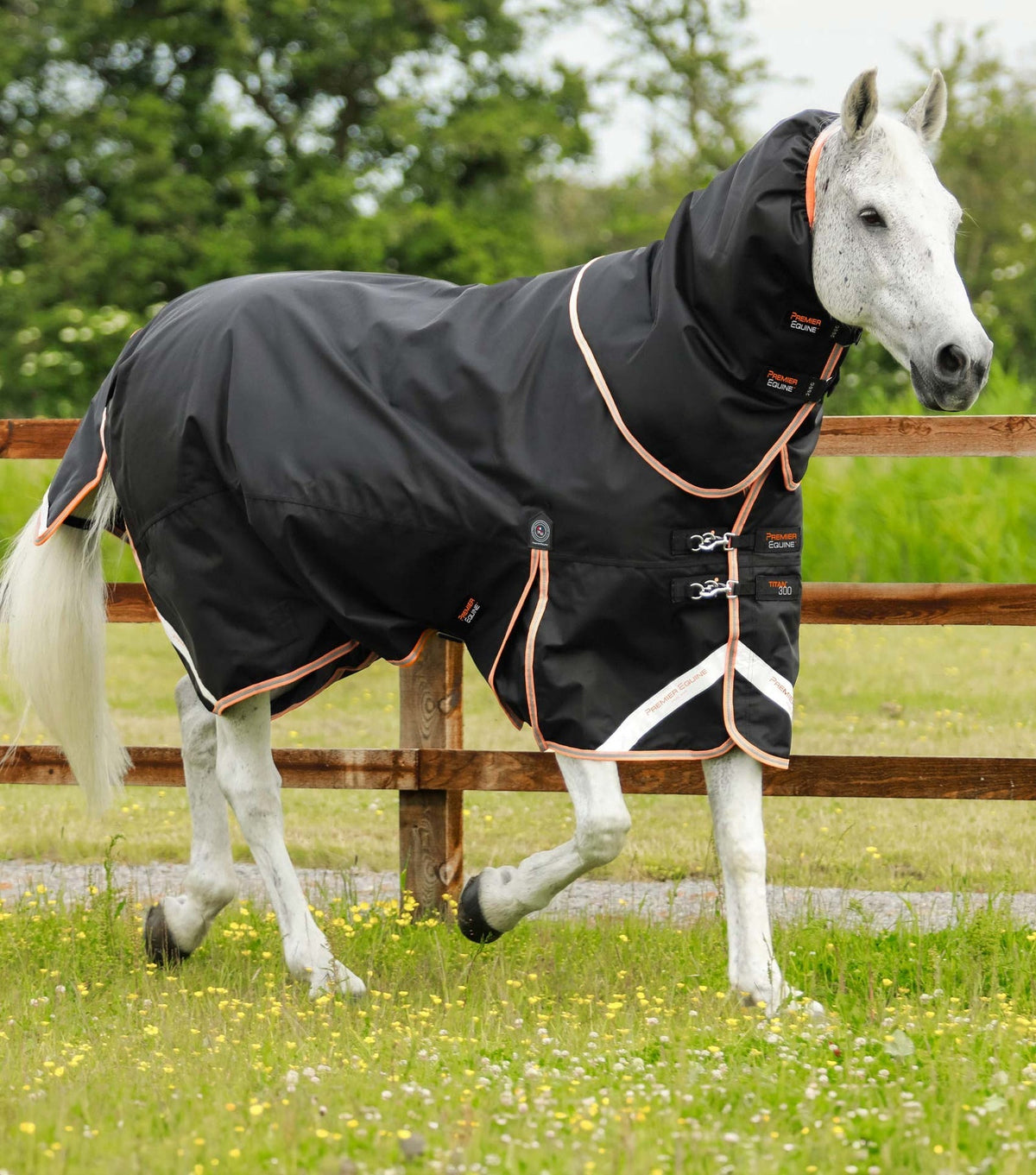 Premier Equine Titan 300g Turnout Rug with Snug-Fit Neck Cover - Nags Essentials