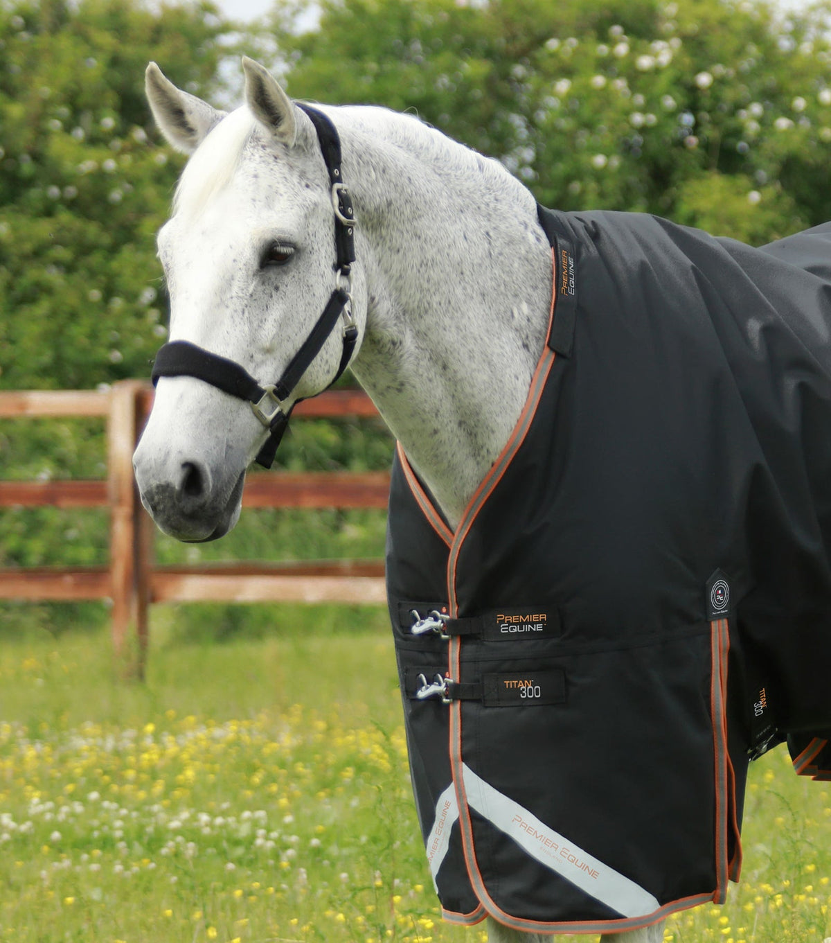 Premier Equine Titan 300g Turnout Rug with Snug-Fit Neck Cover - Nags Essentials