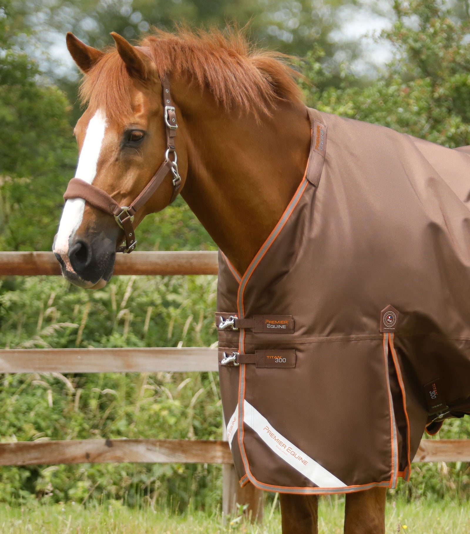 Premier Equine Titan 300g Turnout Rug with Snug-Fit Neck Cover - Nags Essentials