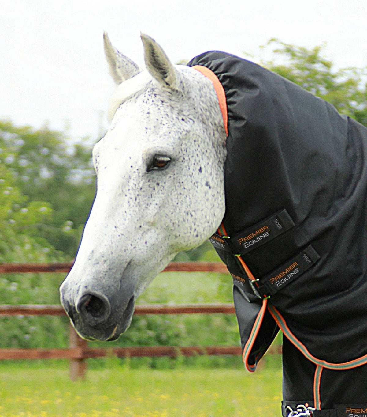 Premier Equine Titan 300g Turnout Rug with Snug-Fit Neck Cover - Nags Essentials
