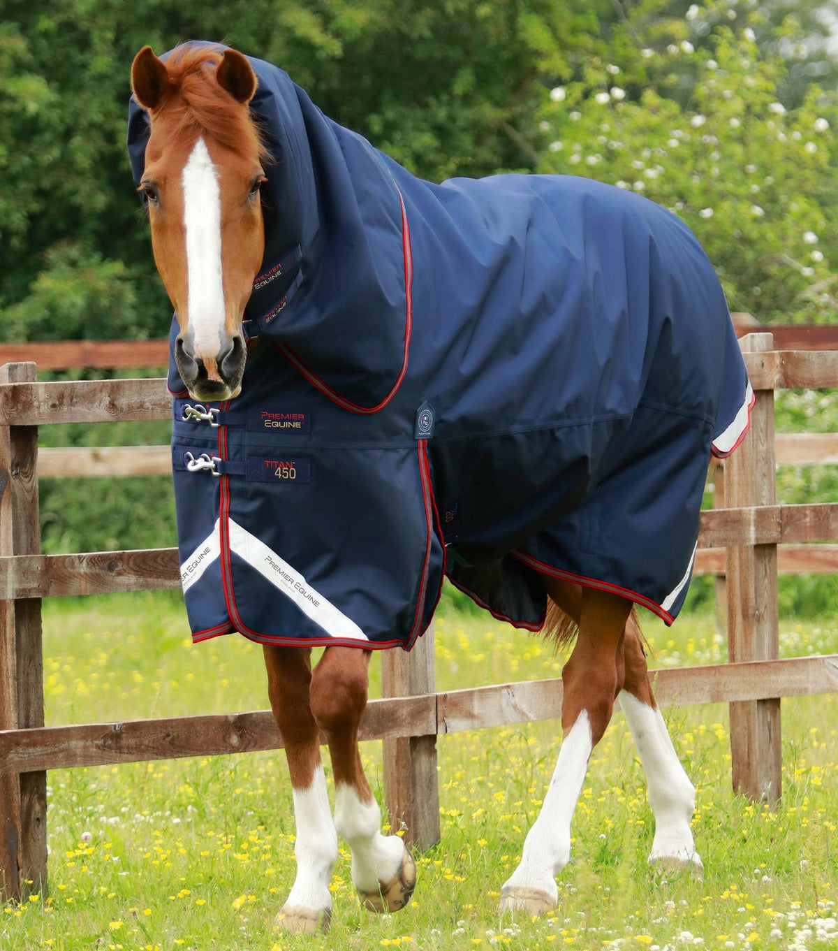 Premier Equine Titan 450g Turnout Rug with Snug-Fit Neck Cover - Nags Essentials