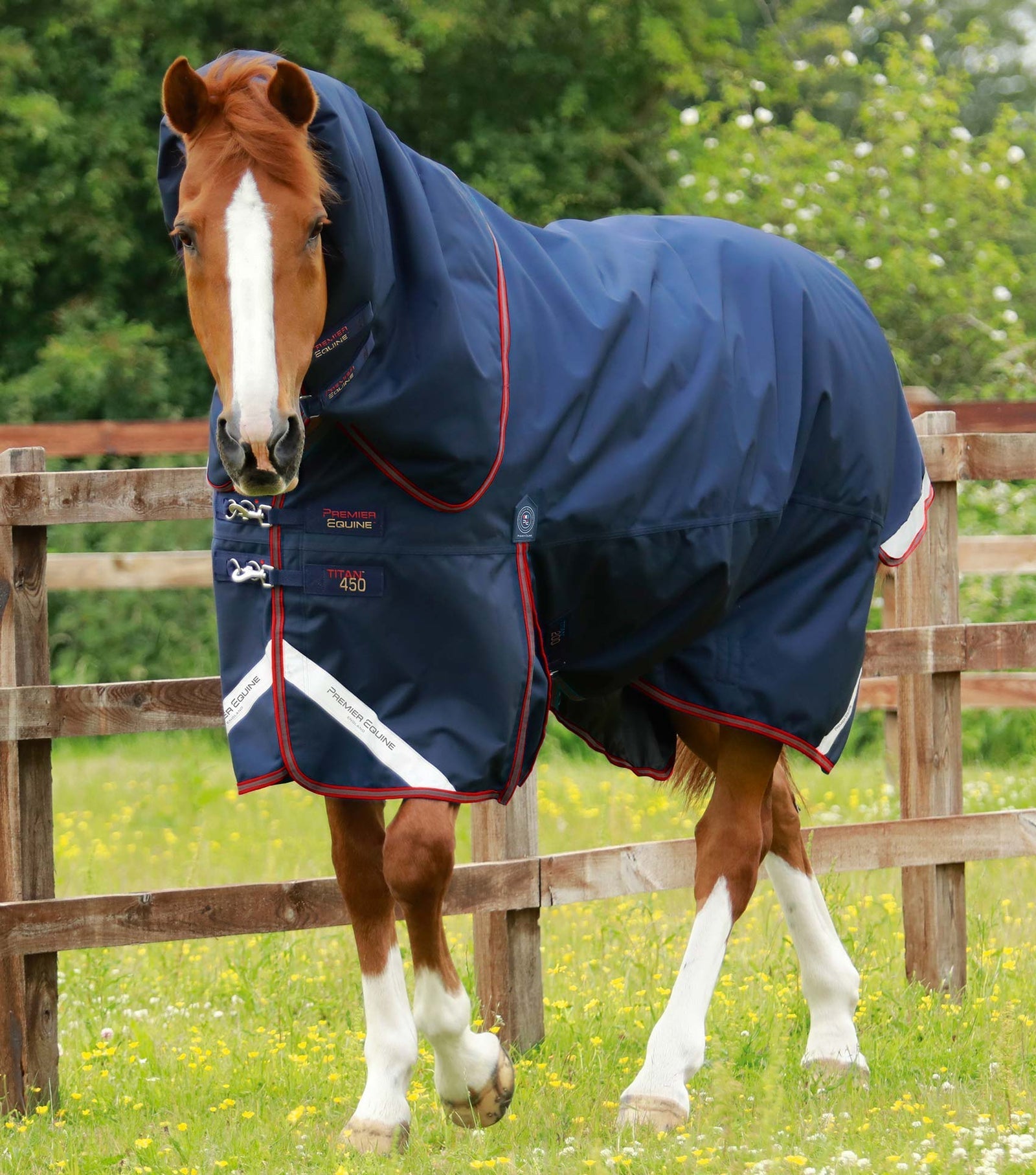 Premier Equine Titan 450g Turnout Rug with Snug-Fit Neck Cover - Nags Essentials