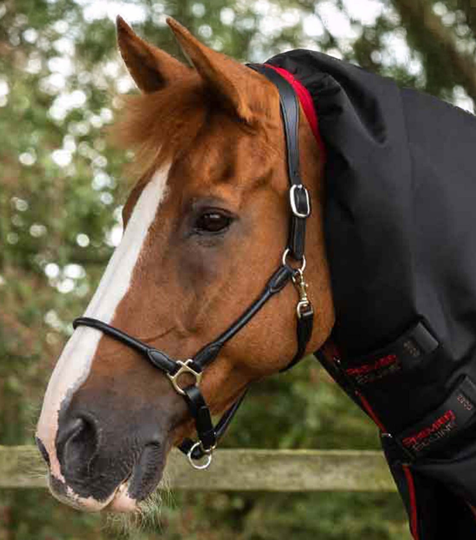Premier Equine Titan 450g Turnout Rug with Snug-Fit Neck Cover - Nags Essentials