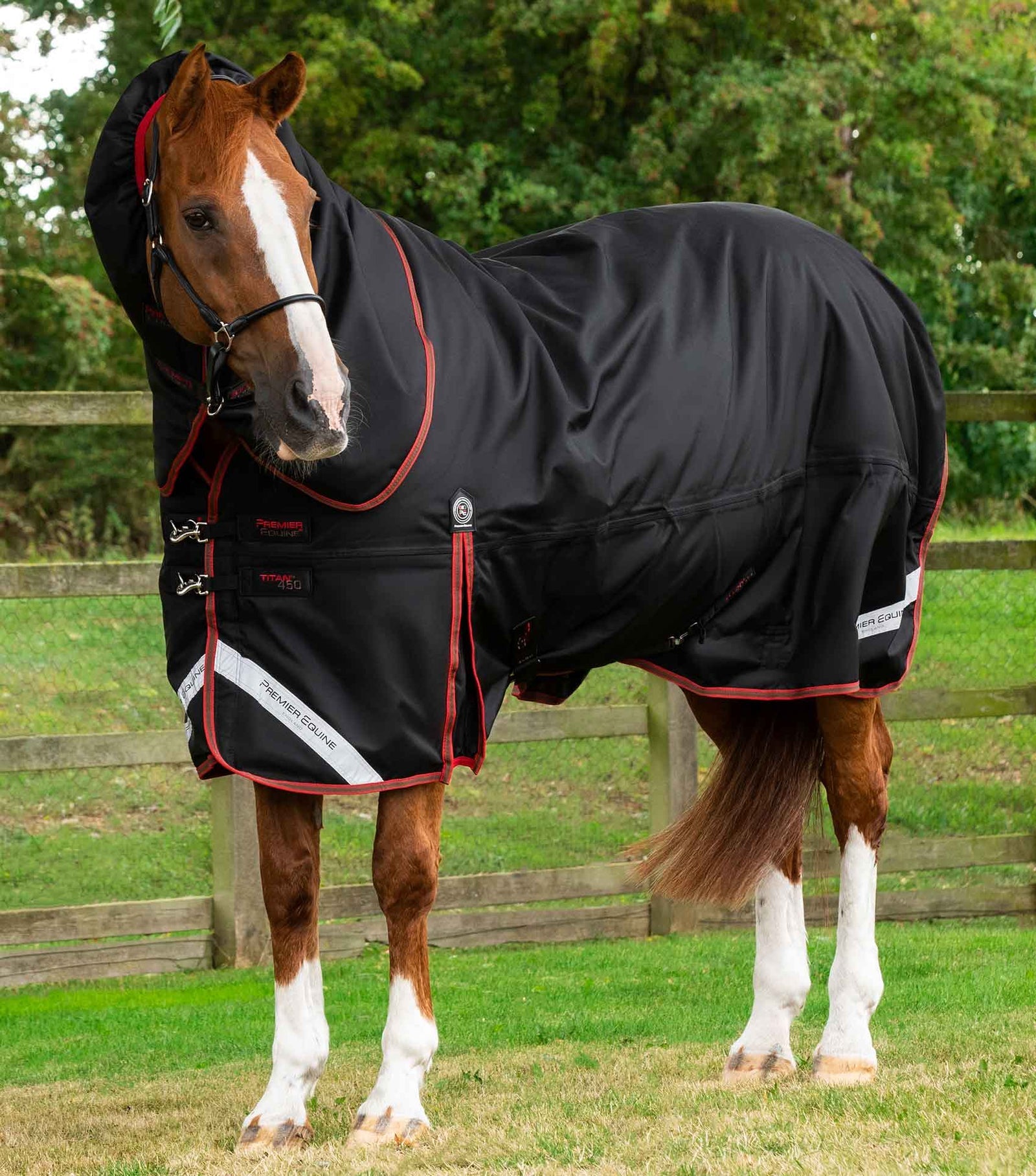 Premier Equine Titan 450g Turnout Rug with Snug-Fit Neck Cover - Nags Essentials