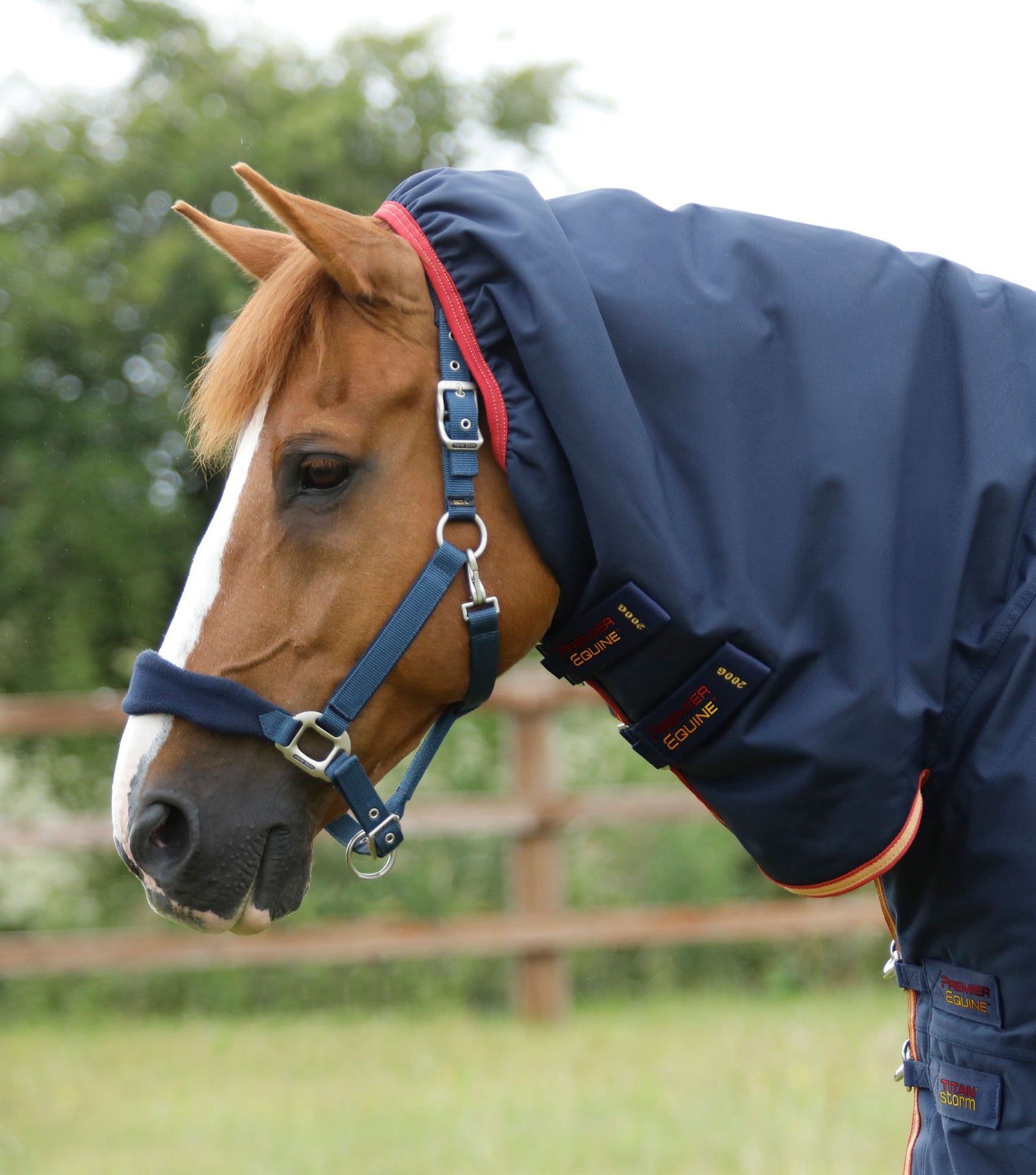 Premier Equine Titan Storm 450g Combo Turnout Rug with Snug-Fit Neck - Nags Essentials
