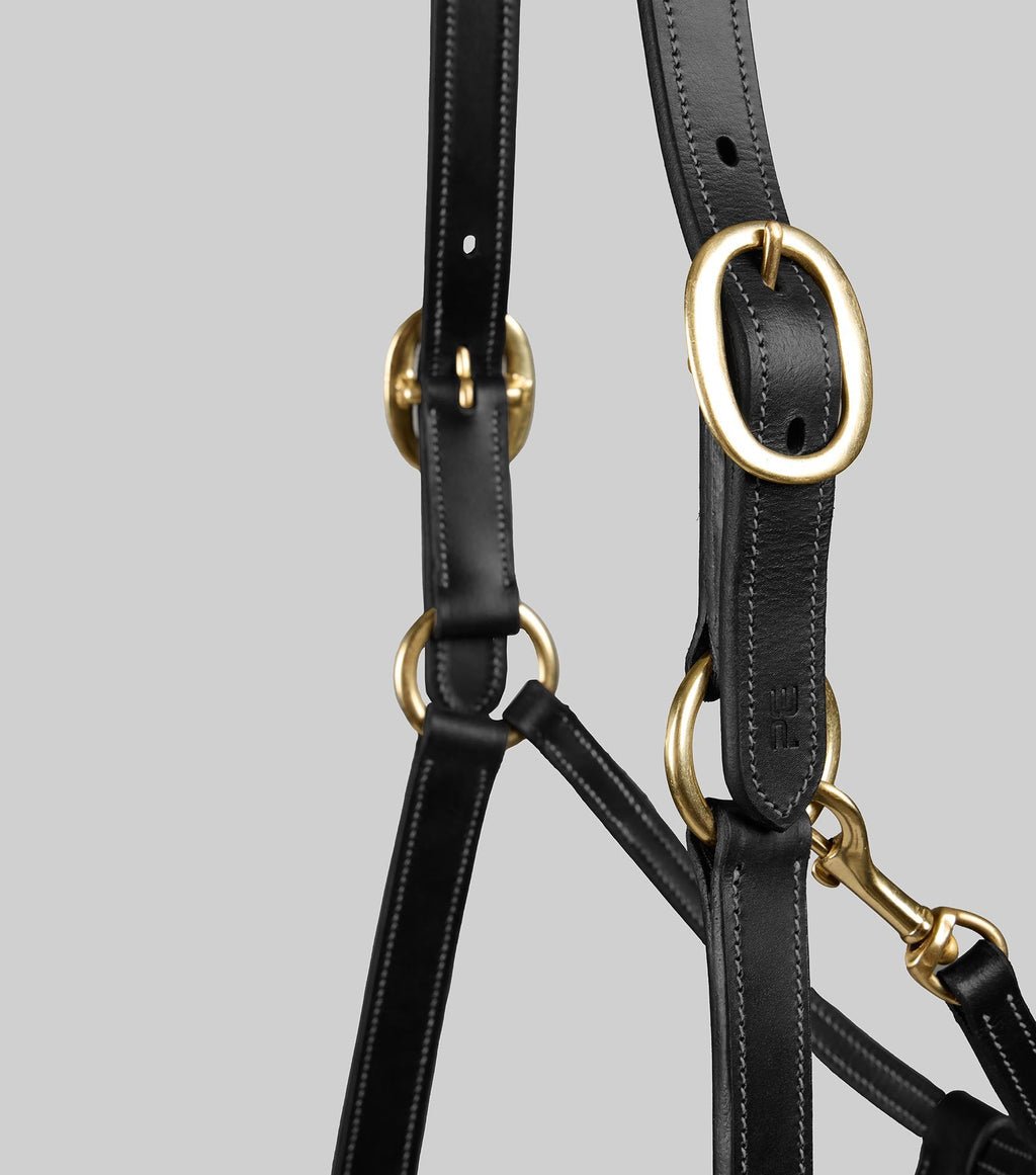 Premier Equine Traditional Leather Headcollar - Nags Essentials