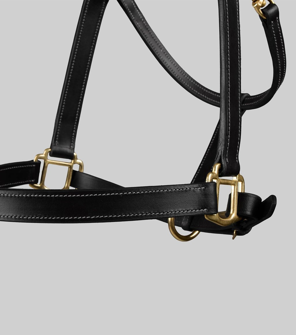 Premier Equine Traditional Leather Headcollar - Nags Essentials