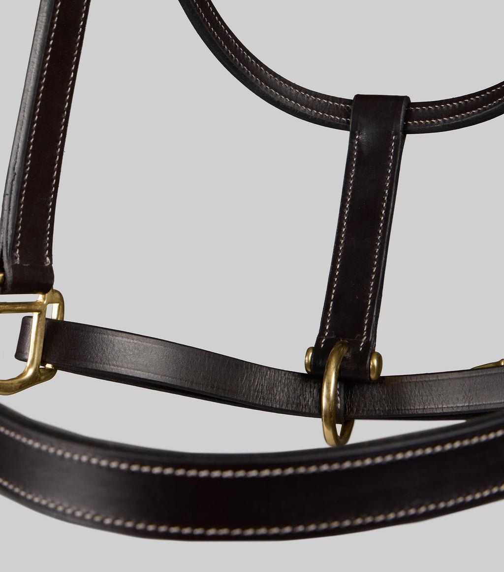 Premier Equine Traditional Leather Headcollar - Nags Essentials