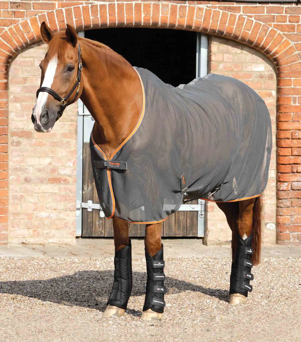 Premier Equine Travel-Tech Travel Boots - Nags Essentials
