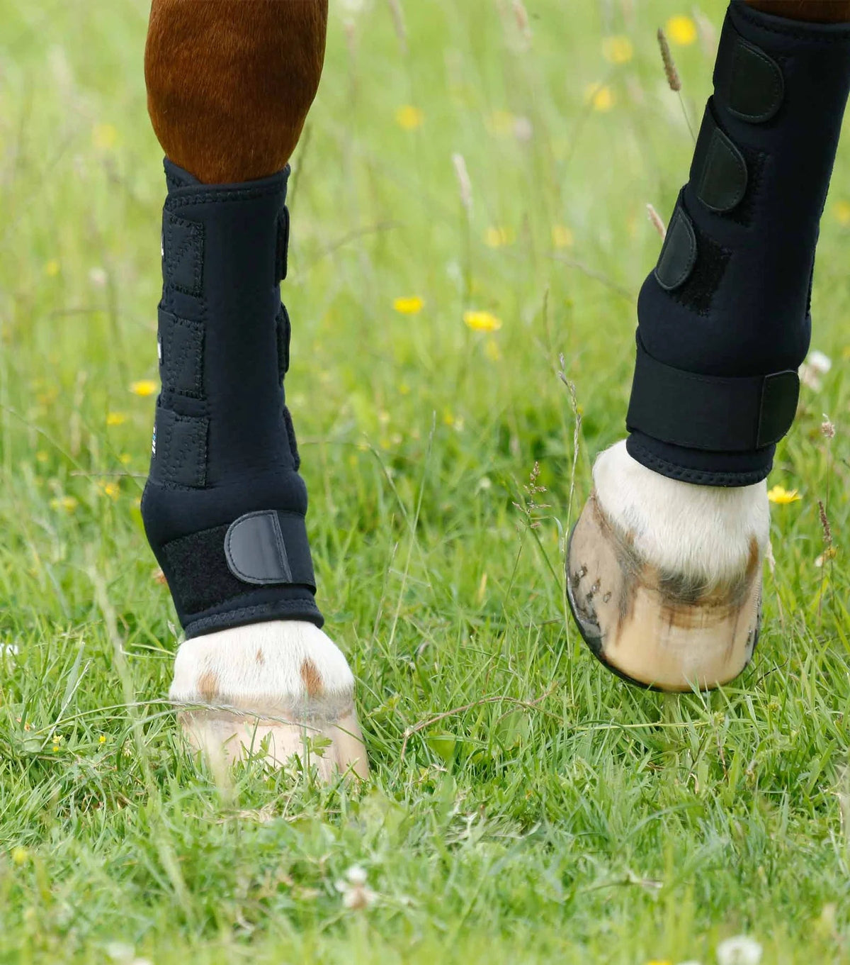 Premier Equine Turnout Boots - Nags Essentials