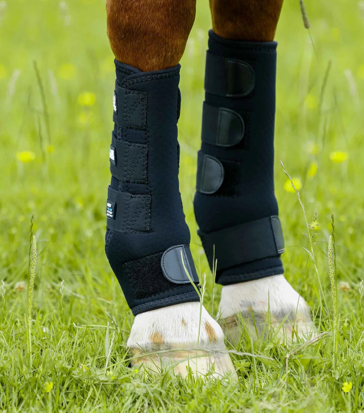 Premier Equine Turnout Boots - Nags Essentials