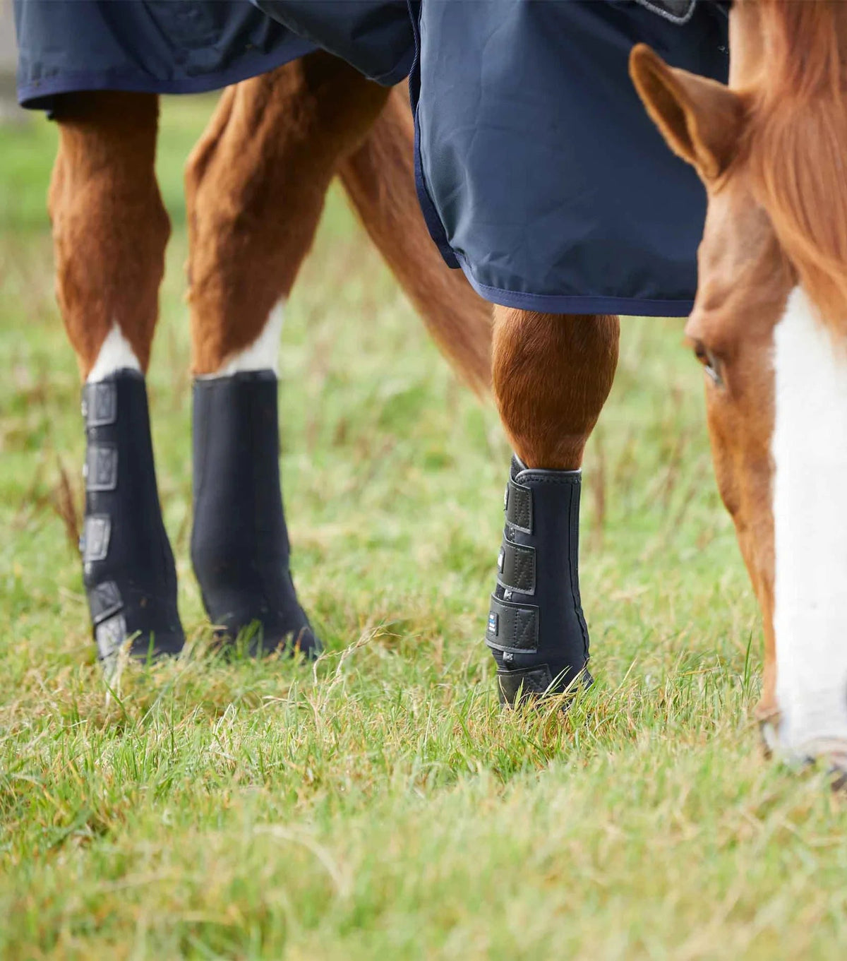 Premier Equine Turnout/Mud Fever Boots - Nags Essentials