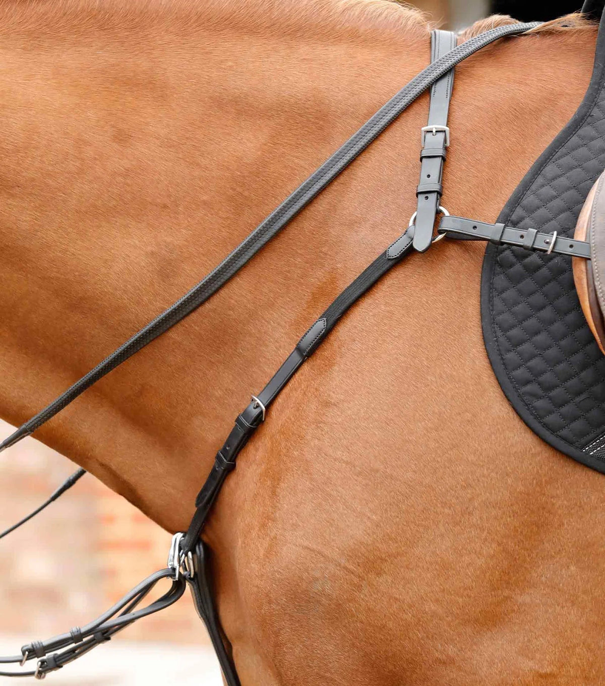 Premier Equine Valbrona Performance Breastplate - Nags Essentials