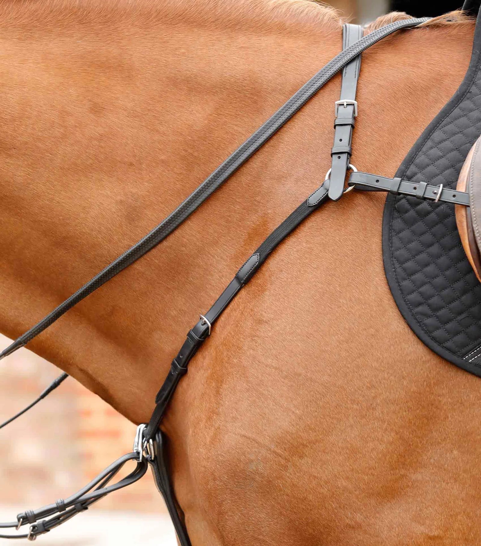 Premier Equine Valbrona Performance Breastplate - Nags Essentials