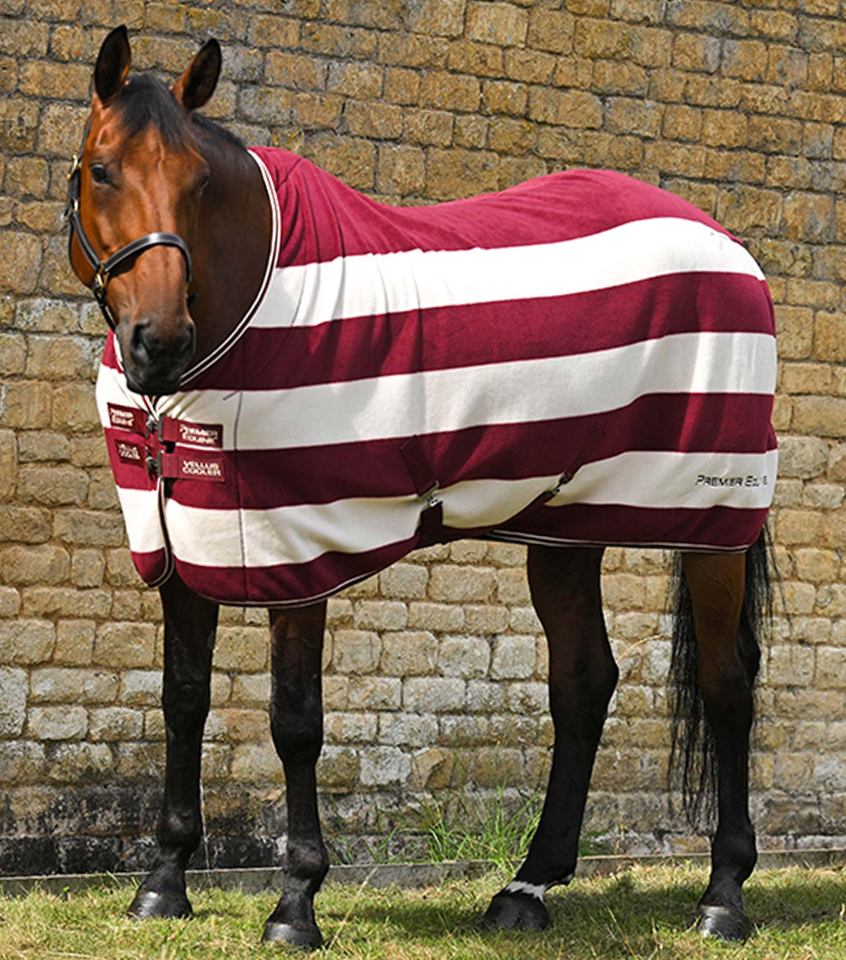 Premier Equine Vellus Horse Fleece Rug - Nags Essentials