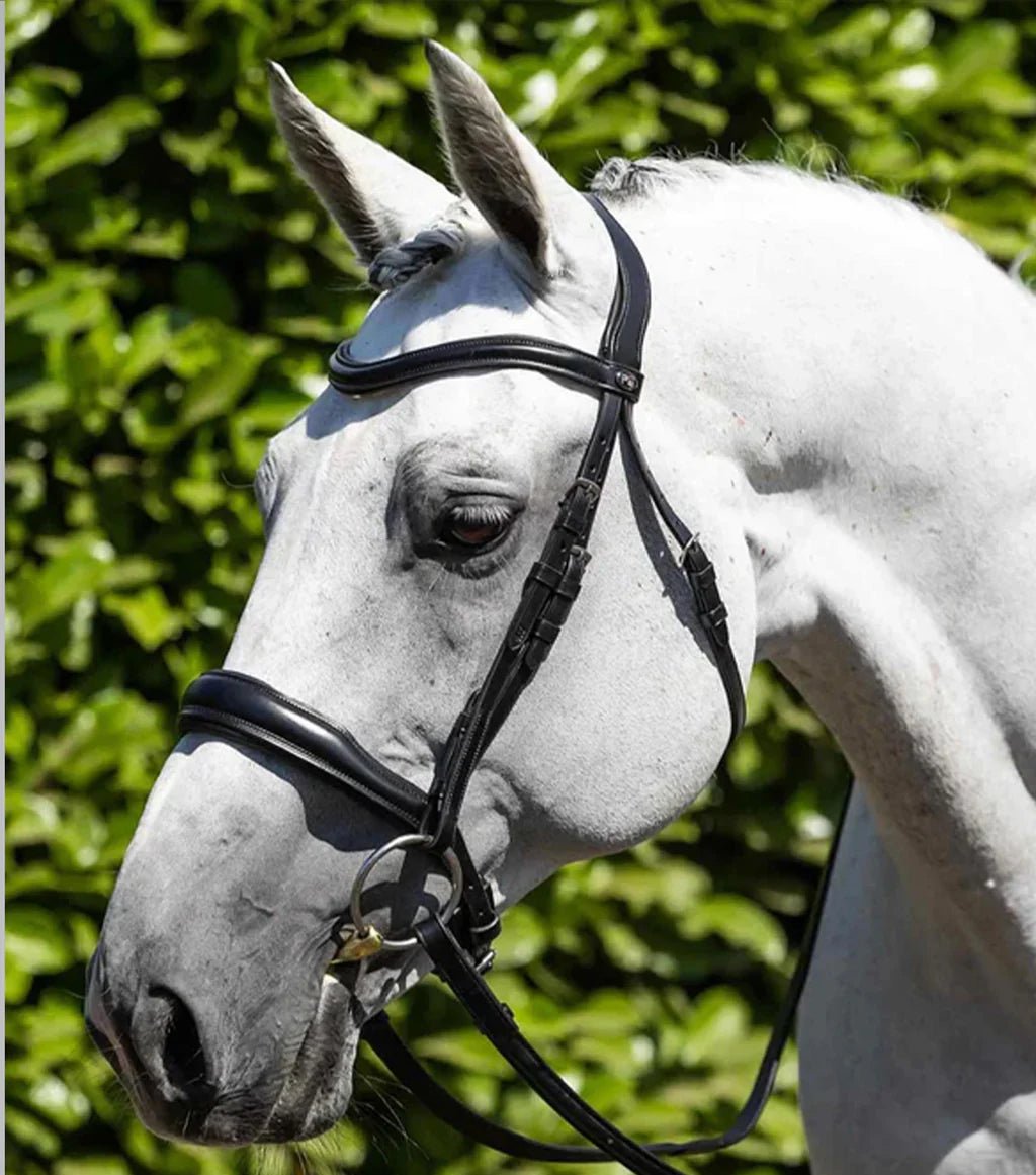 Premier Equine Verdura Anatomic Snaffle Bridle - Nags Essentials