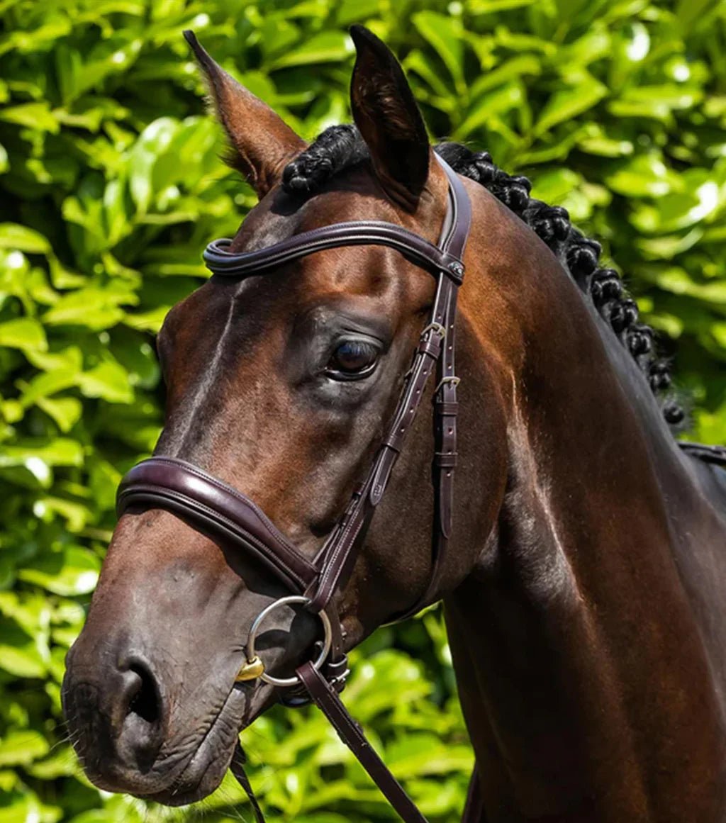 Premier Equine Verdura Anatomic Snaffle Bridle - Nags Essentials