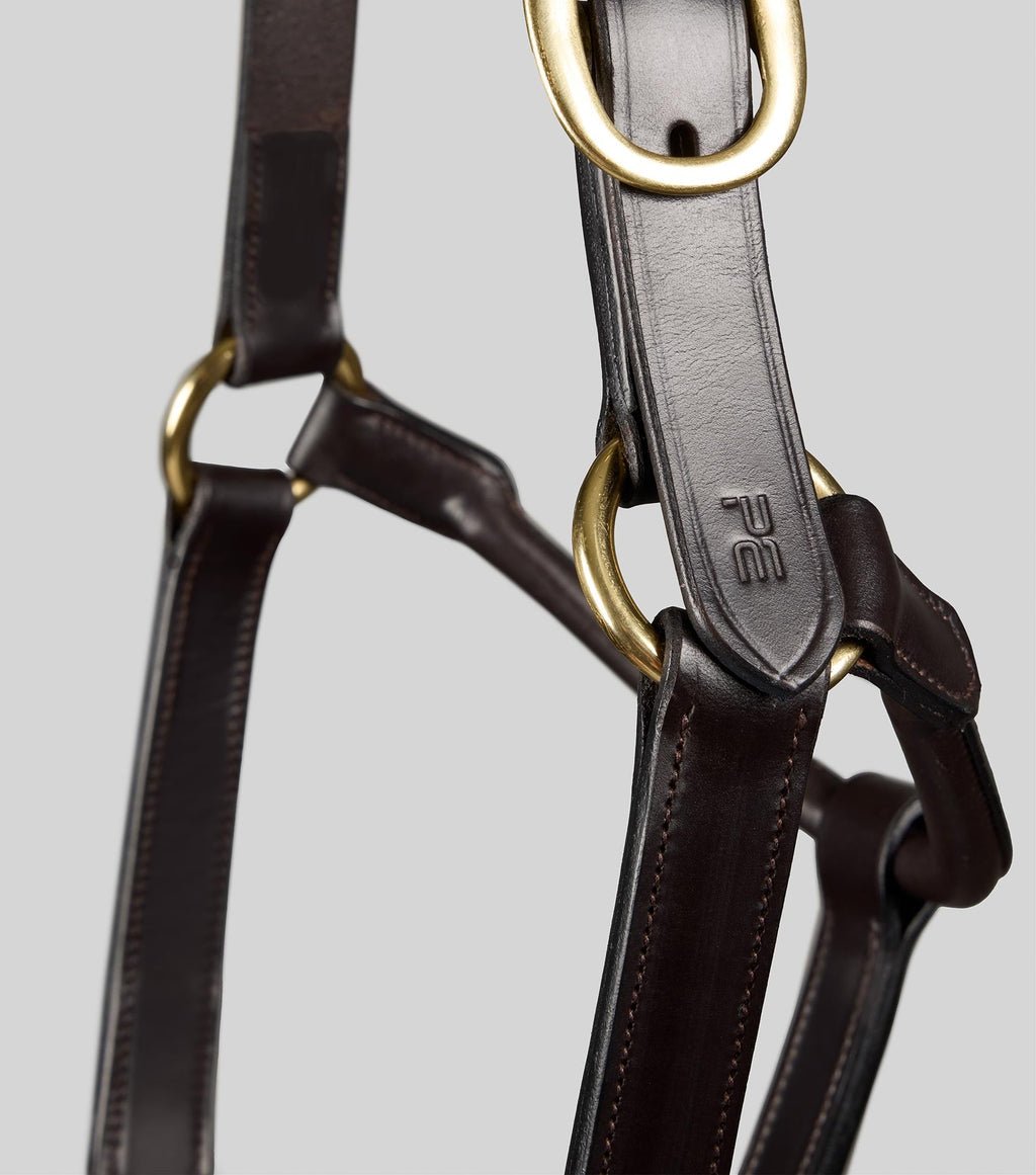 Premier Equine Yearling Headcollar 1" - Dark Havana - Nags Essentials