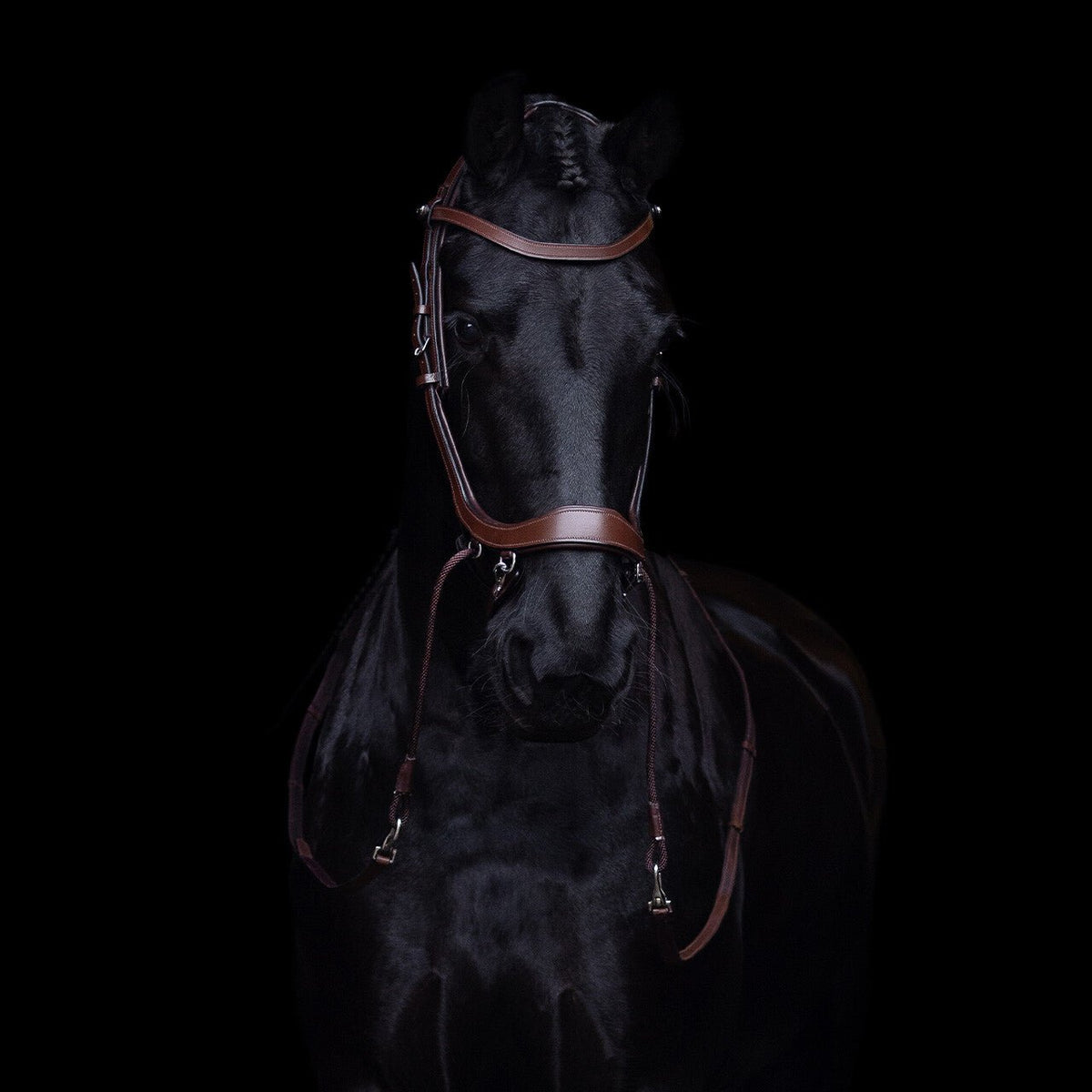 PresTeq FaySport Bitless Bridle - Nags Essentials