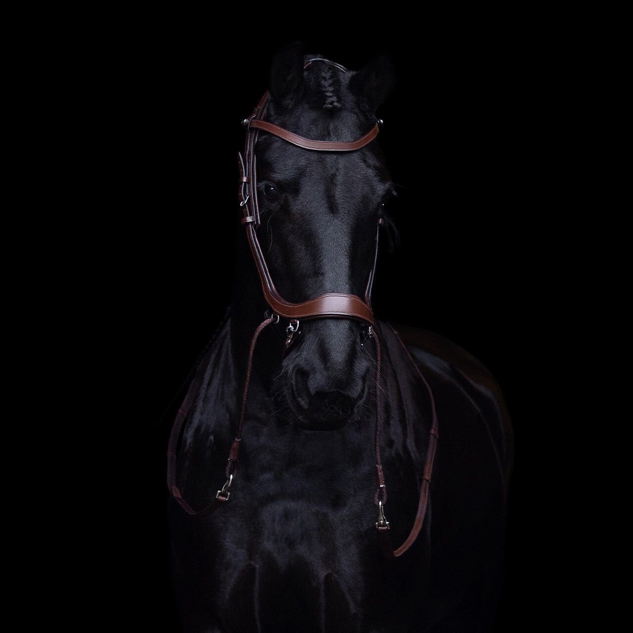 PresTeq FaySport Bitless Bridle - Nags Essentials
