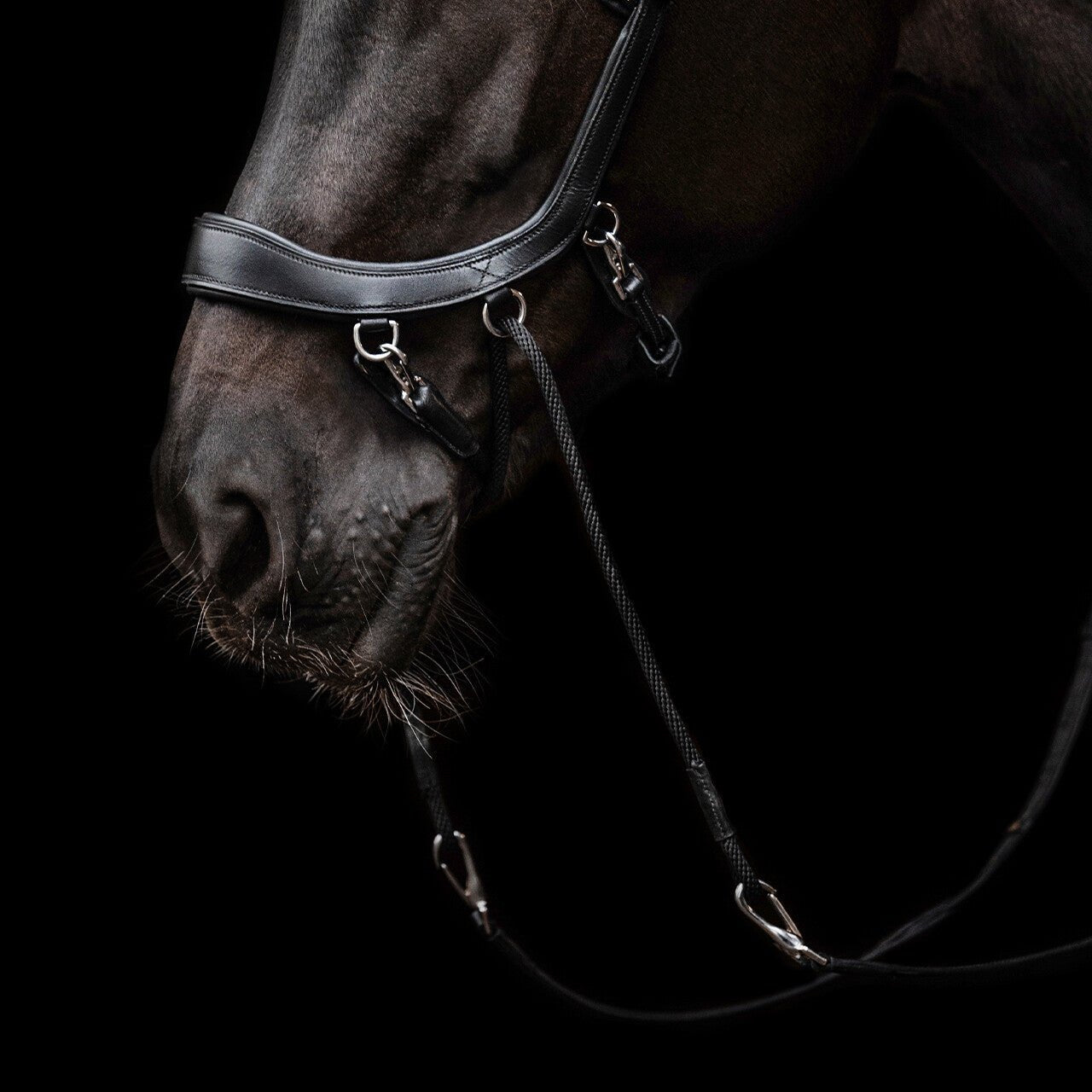PresTeq FaySport Bitless Bridle - Nags Essentials