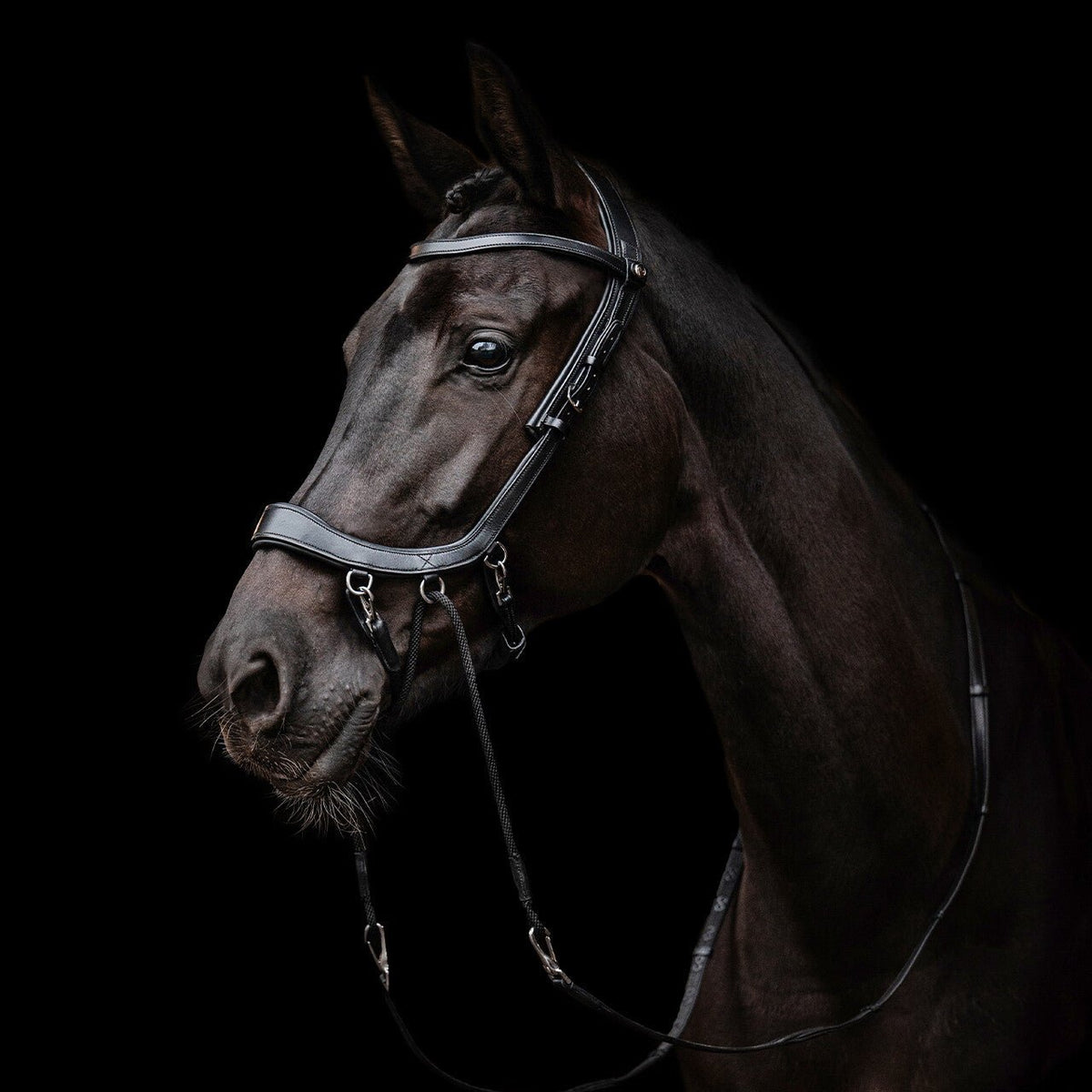 PresTeq FaySport Bitless Bridle - Nags Essentials