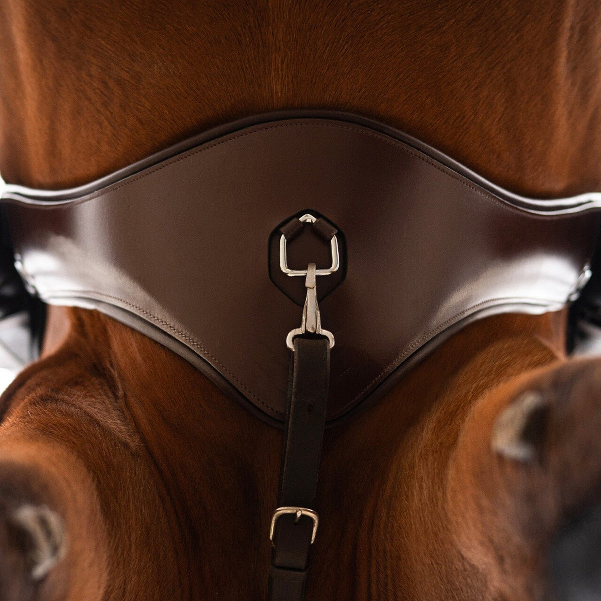 PresTeq PerformFree Girth - Nags Essentials