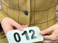 Showing Number Clips