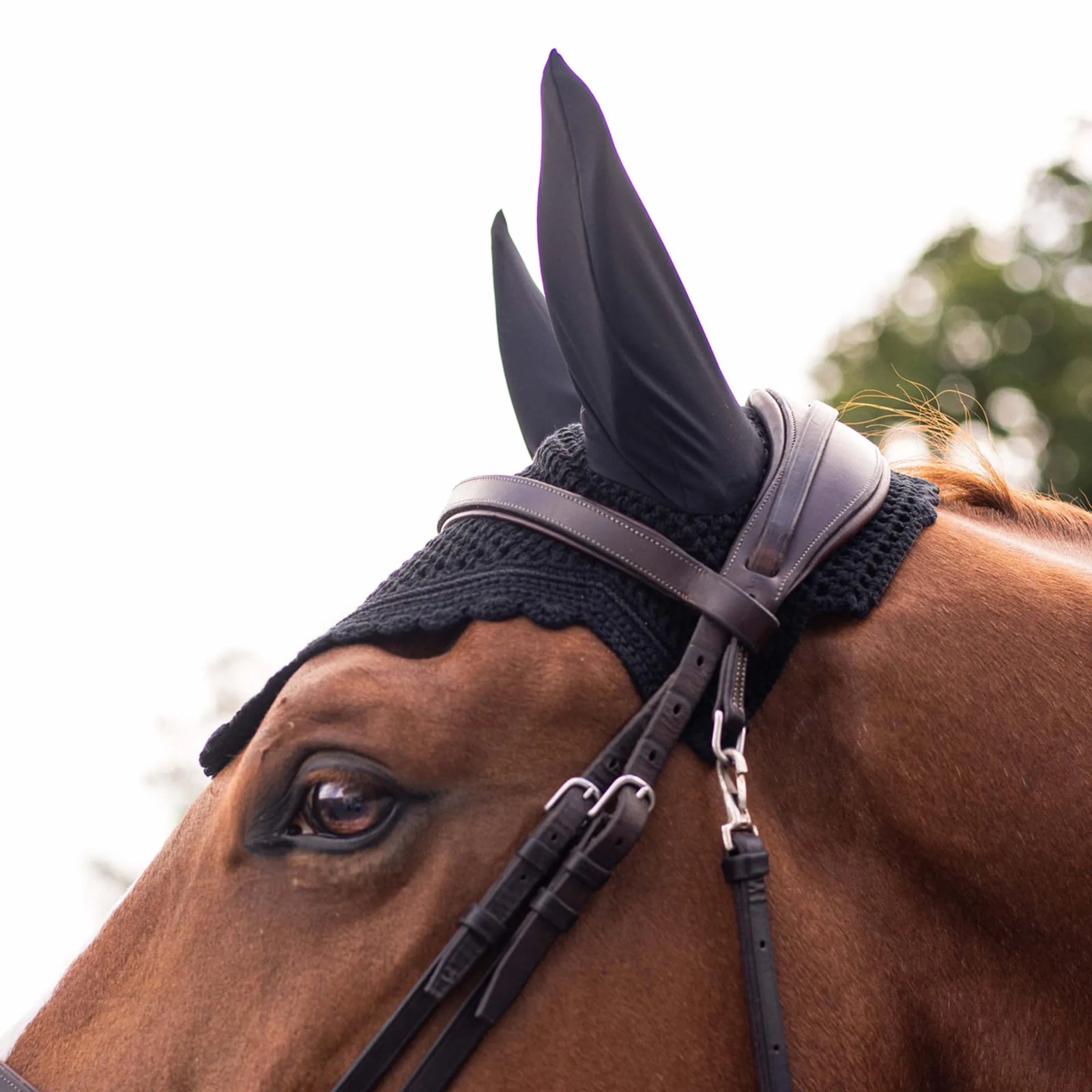 Samshield FlyShield Swarovski Fly Veil