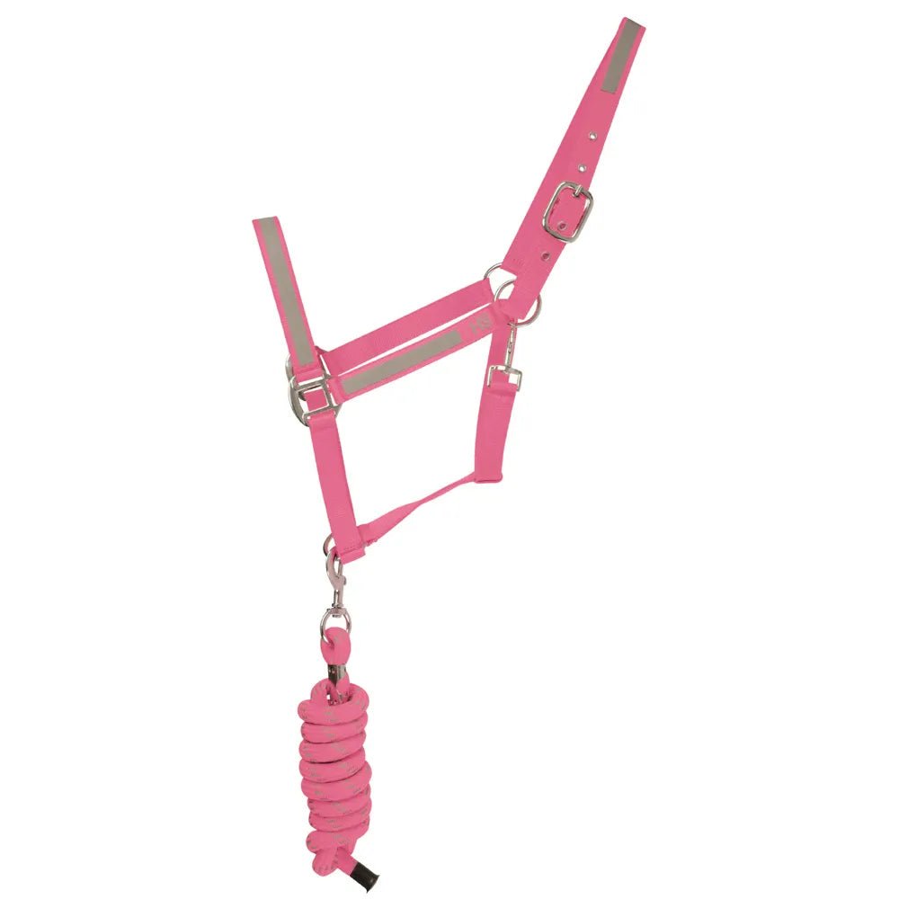Reflector Headcollar and Leadrope - Nags Essentials