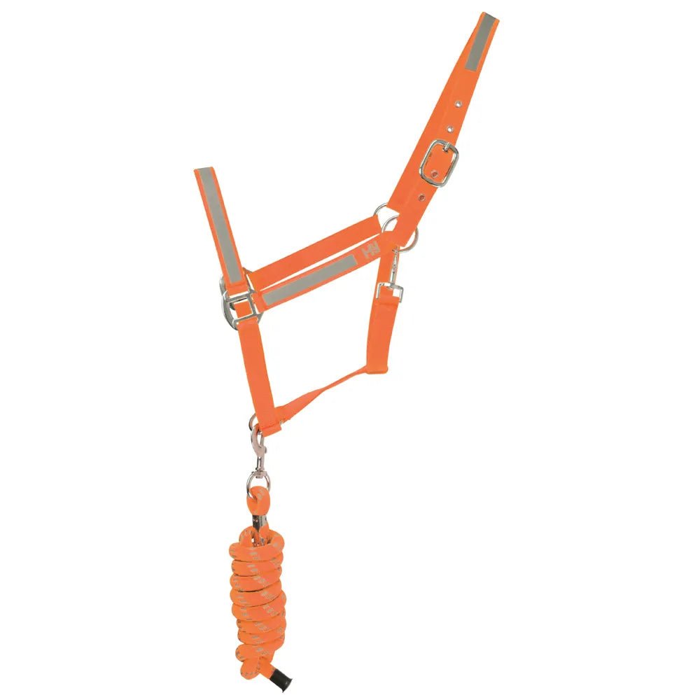 Reflector Headcollar and Leadrope - Nags Essentials