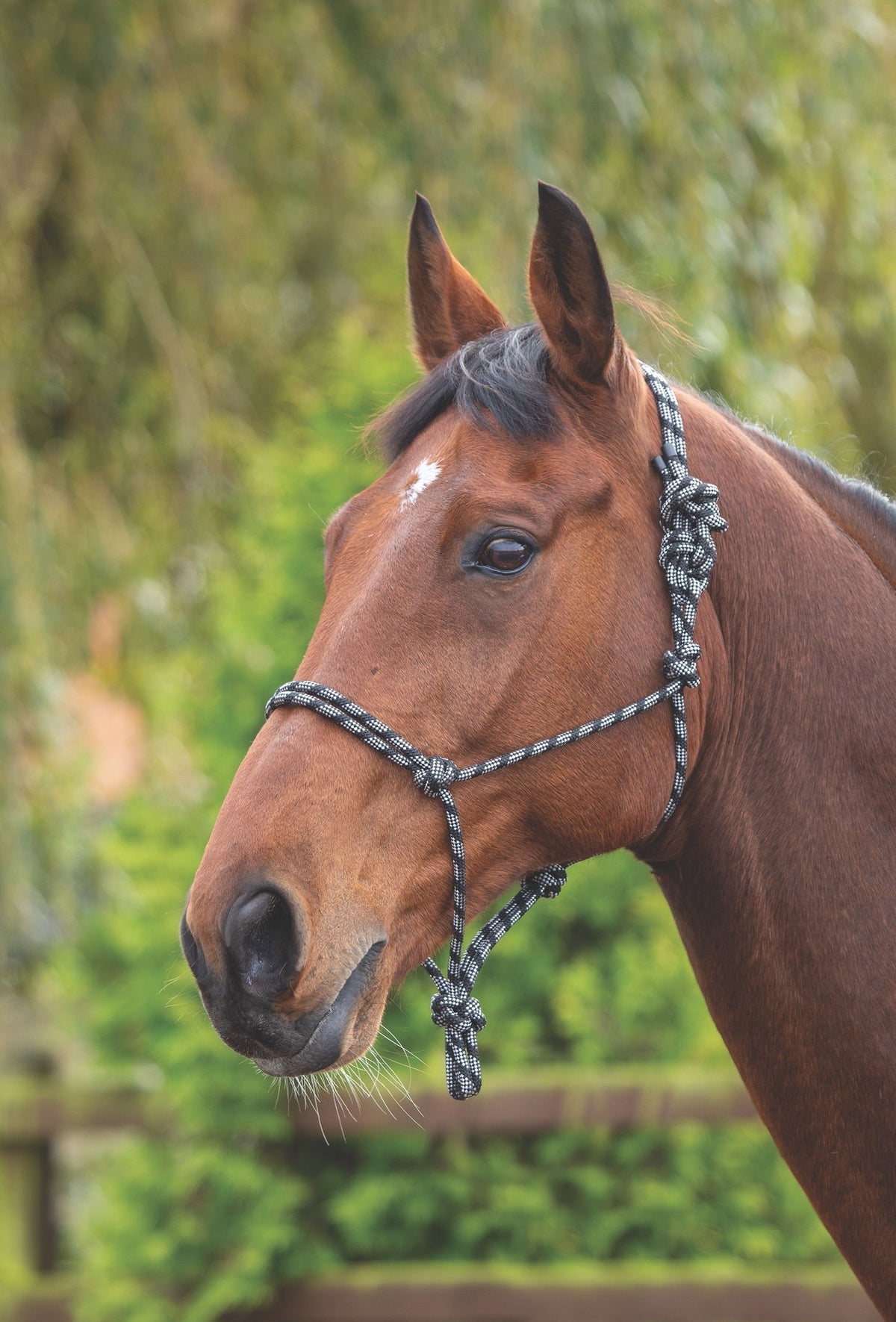 Rope Control Headcollar - Nags Essentials