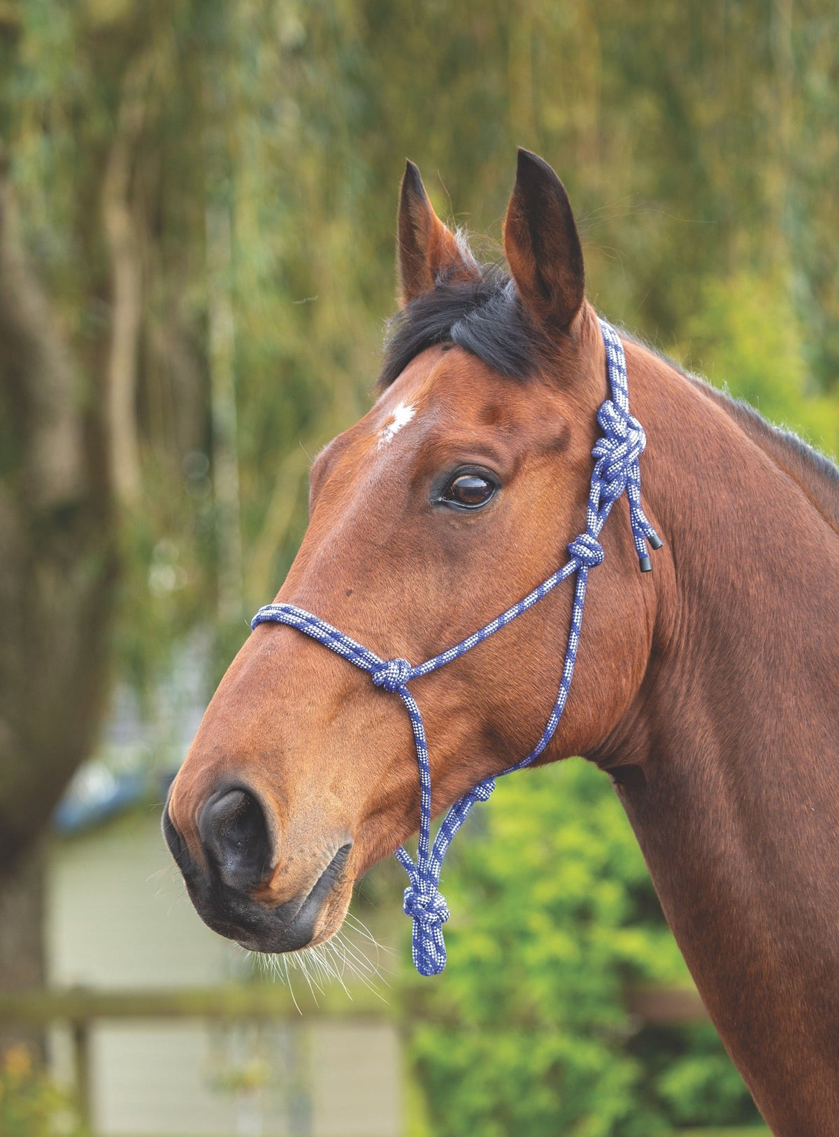 Rope Control Headcollar - Nags Essentials