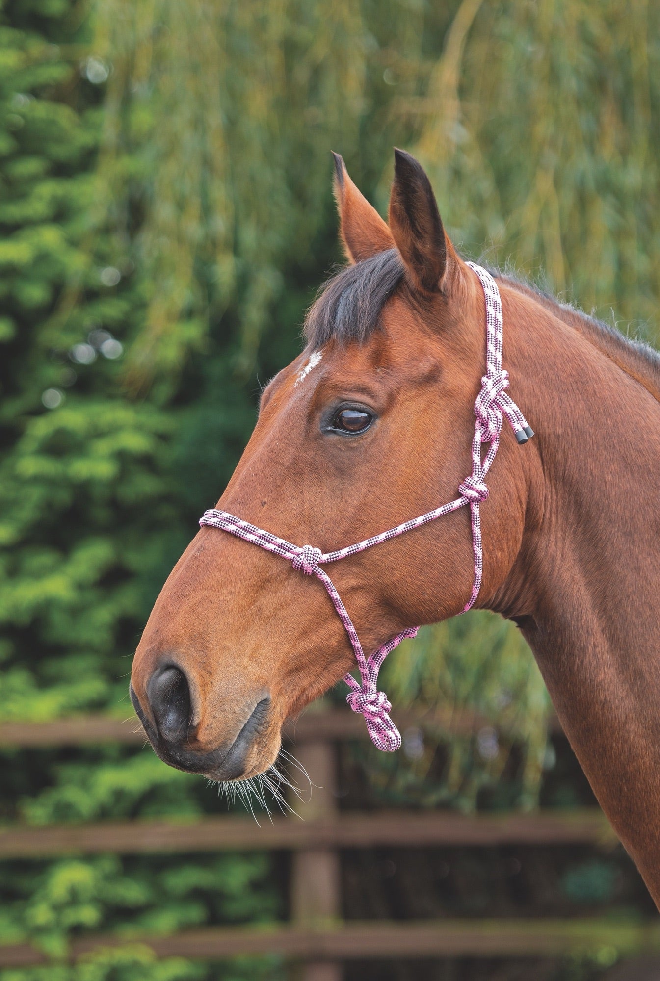 Rope Control Headcollar - Nags Essentials