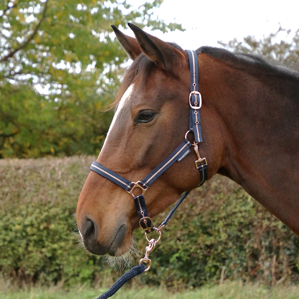 Rose Glitter Head Collar & Lead Rope Set - Nags Essentials