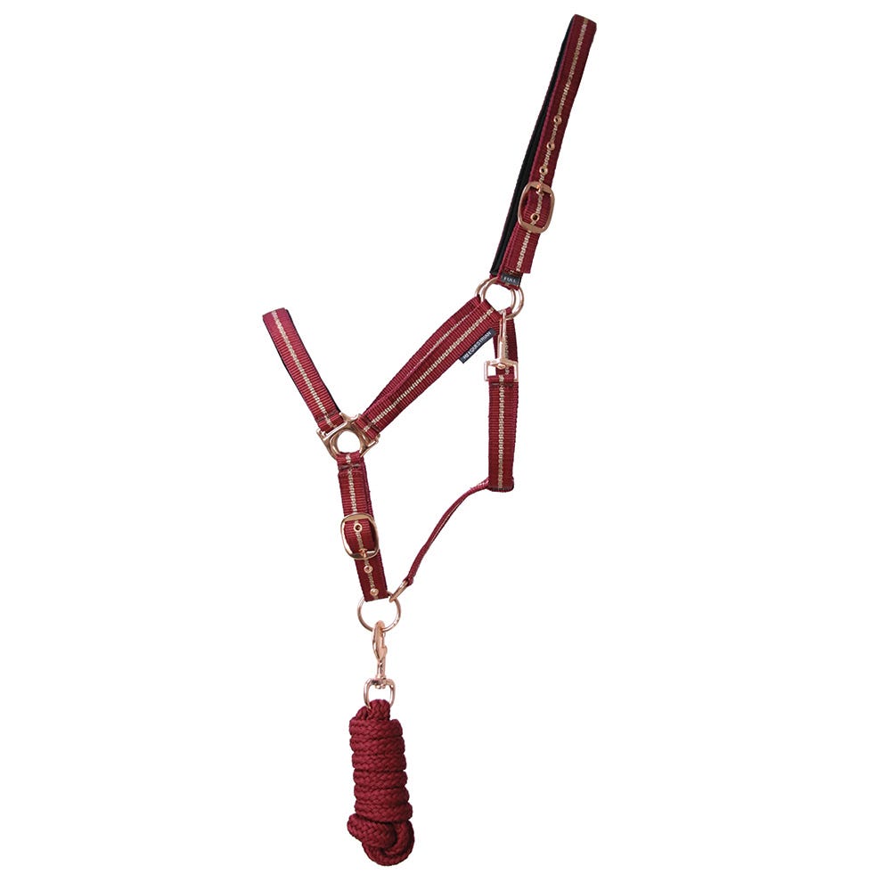 Rose Glitter Head Collar & Lead Rope Set - Nags Essentials