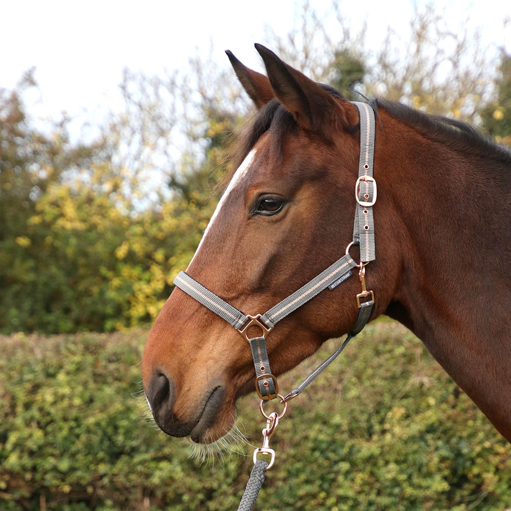 Rose Glitter Head Collar & Lead Rope Set - Nags Essentials