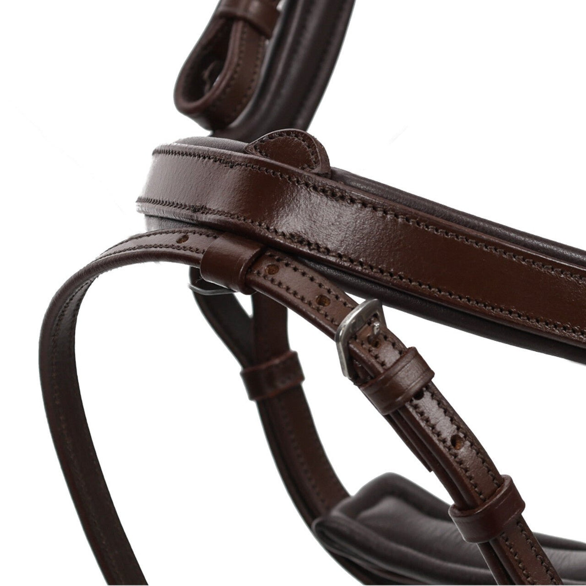 Salerno Anatomic Bridle - Nags Essentials