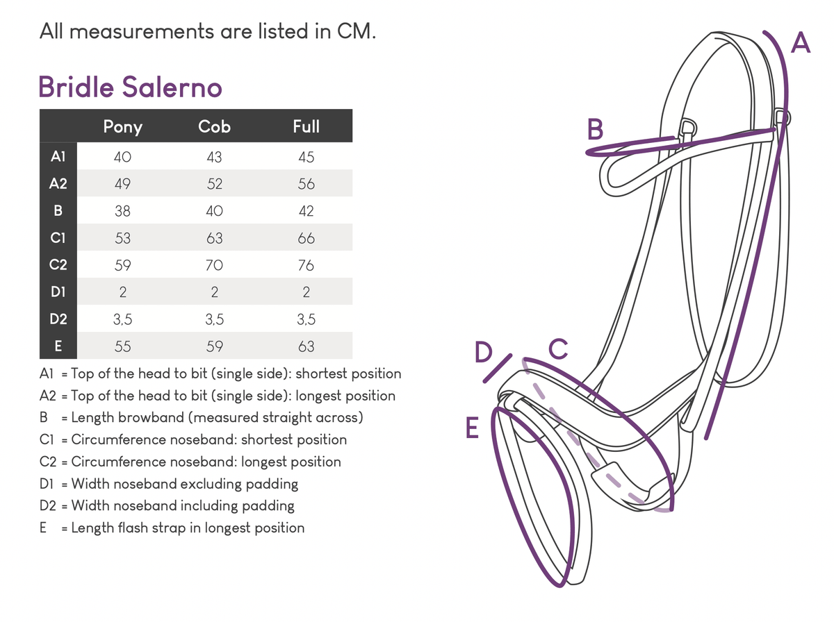 Salerno Anatomic Bridle - Nags Essentials