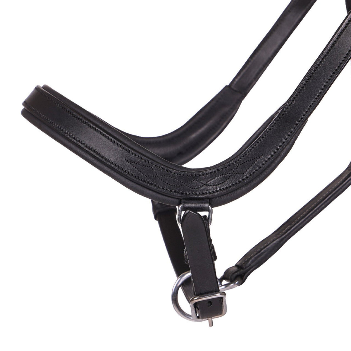 Salerno Anatomic Headcollar - Nags Essentials
