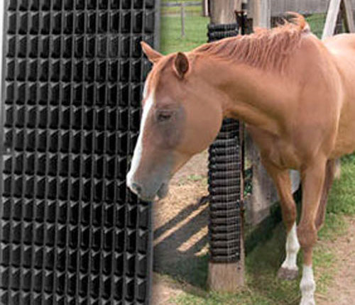 Equine Scratcher