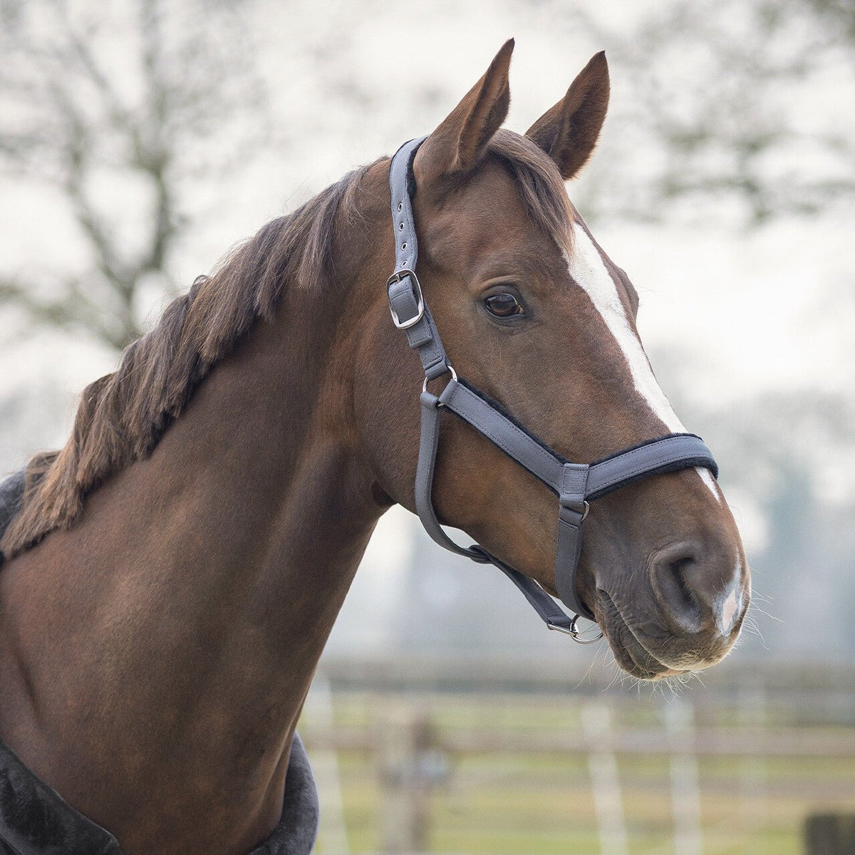 SensiSoft Anatomical Headcollar - Nags Essentials