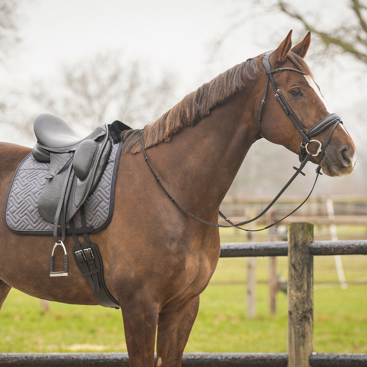 SensiSoft Saddlepad - Nags Essentials