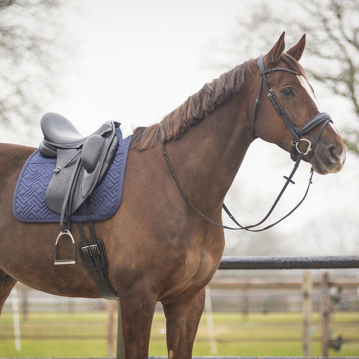 SensiSoft Saddlepad - Nags Essentials