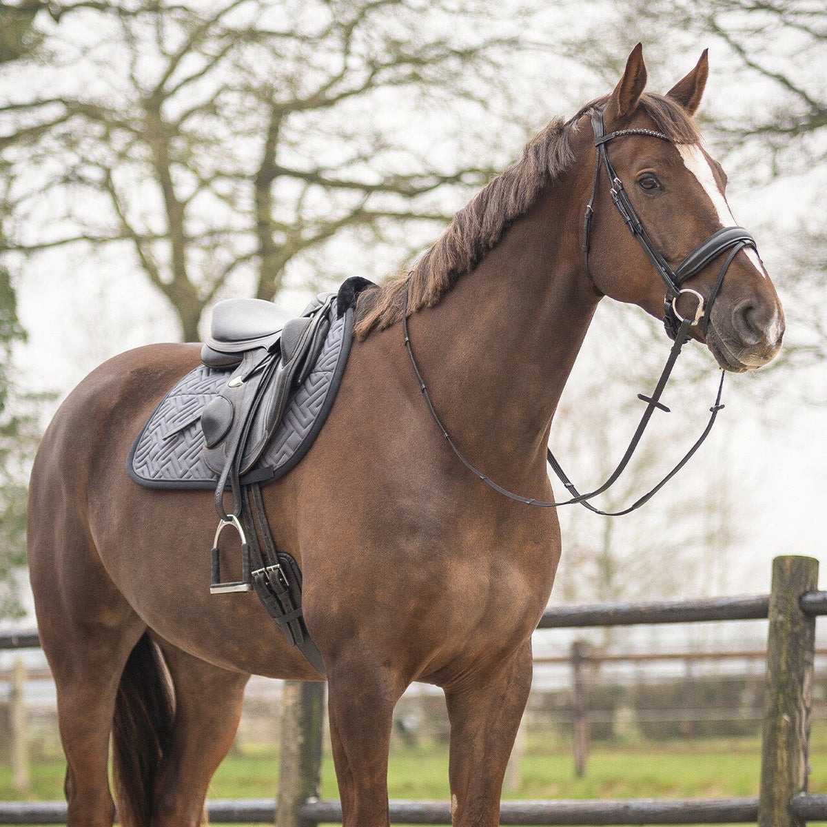 SensiSoft Saddlepad - Nags Essentials