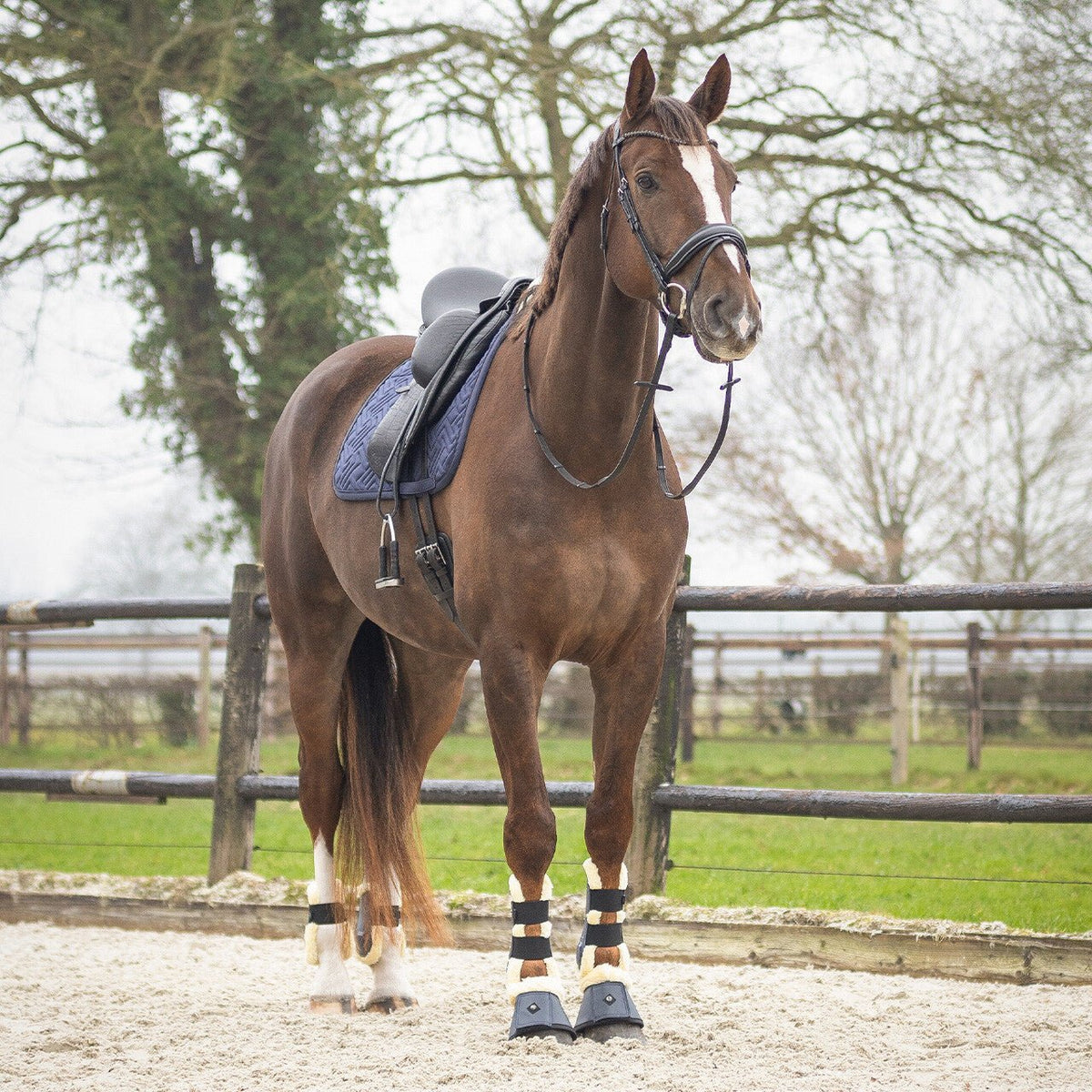 SensiSoft Saddlepad - Nags Essentials