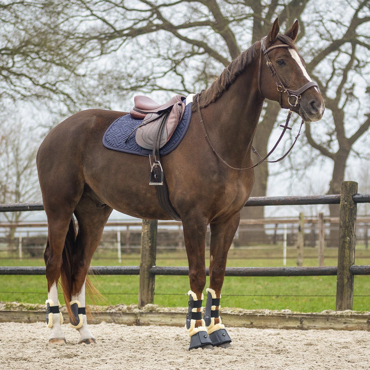 SensiSoft Saddlepad - Nags Essentials