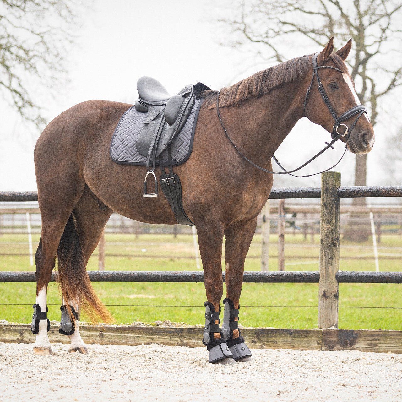 SensiSoft Saddlepad - Nags Essentials