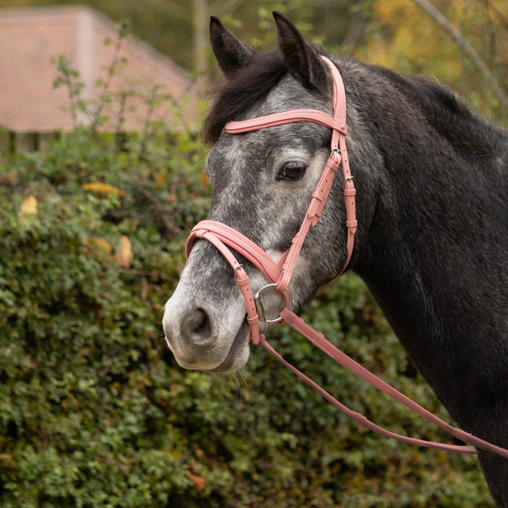 Serena Bridle by Little Rider - Nags Essentials