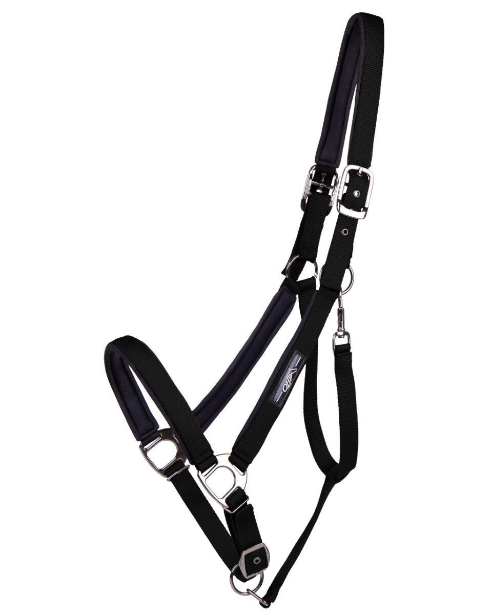 Shire Horse Deluxe Headcollar - Nags Essentials